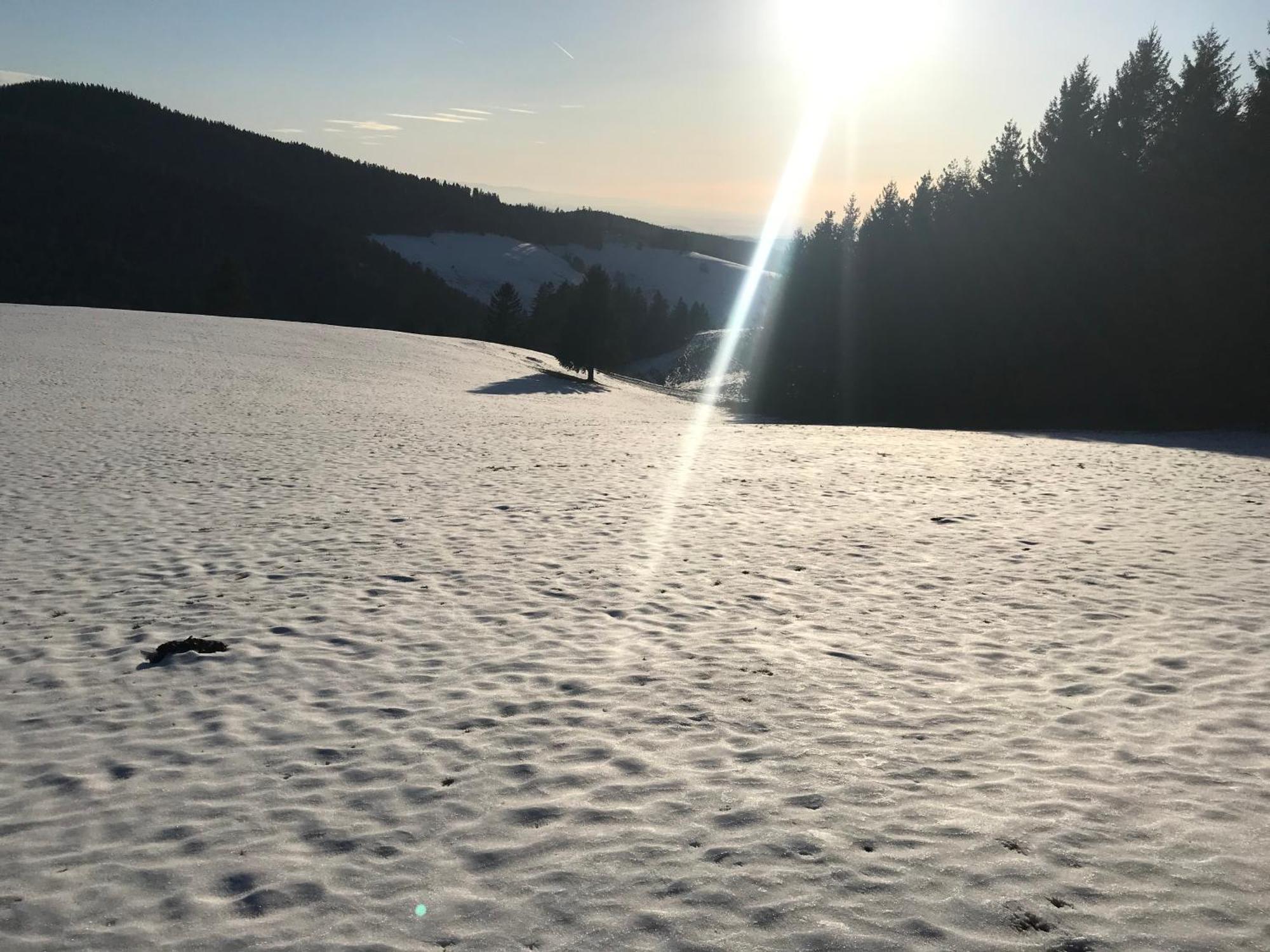 Waldhotel Auerhahn "Hochkopfhaus" Todtnau Eksteriør bilde