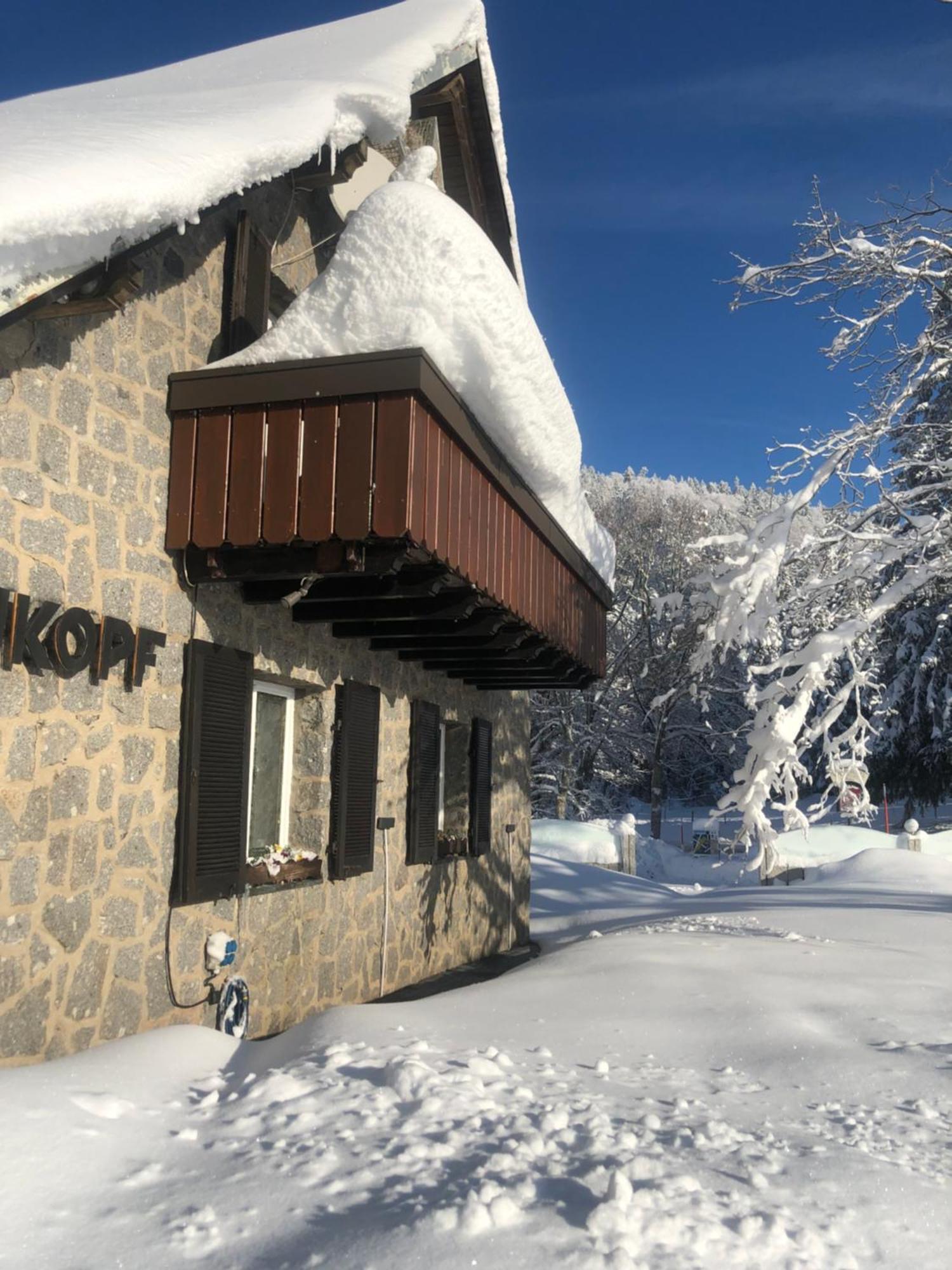 Waldhotel Auerhahn "Hochkopfhaus" Todtnau Eksteriør bilde